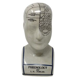 Phrenology Head 9"‎ L.N Fowler Ceramic Crackle Glaze Ornaments Figurines Bust